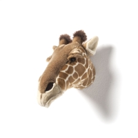 Żyrafa Ruby trofeum głowa