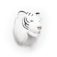Biały tygrys Albert trofeum głowa